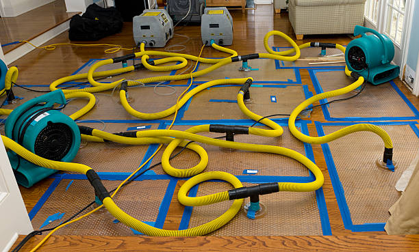 Professional Structural Drying And Dehumidification technician working in Windsor, WI